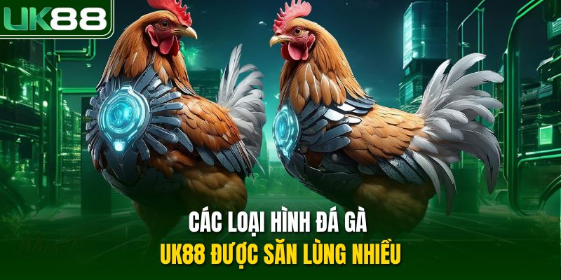 Các loại hình đá gà UK88 được săn lùng nhiều