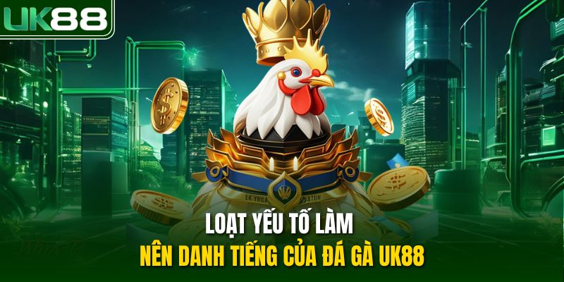 Loạt yếu tố làm nên danh tiếng của đá gà UK88