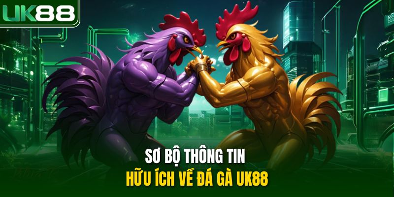 Sơ bộ thông tin hữu ích về đá gà UK88